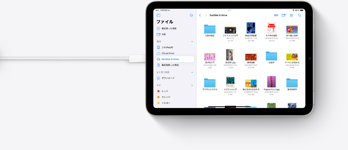 USB-Cケーブルを接続した横向きのiPad mini。画面にはファイルアプリが表示されている