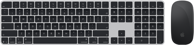 „Magic Keyboard“ su „Touch ID“ ir „Magic Mouse“ vaizdas iš viršaus