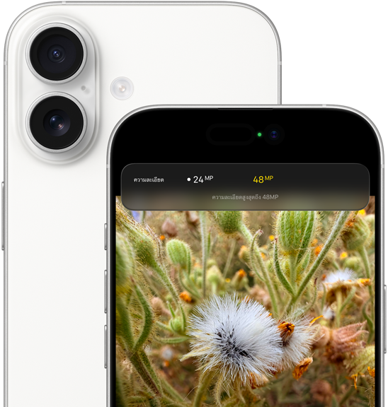 iPhone 17, rear exterior, rounded corners, Dual Fusion Camera System in top left corner, white color, front exterior, Dynamic Island, rounded corners