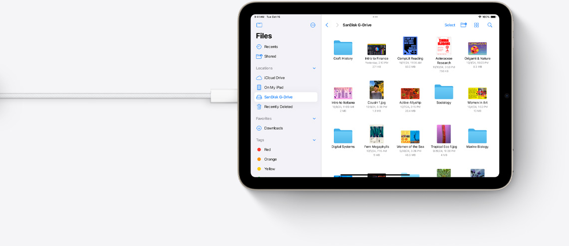 Fișiere pe un iPad mini în dispunere orizontală și conectat la un cablu USB-C.